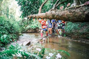 BIB: 
                            <button type="button" onclick="openModal(25514300)" class="btn btn-primary btn-sm float-right btn-popup" data-toggle="modal" data-target=".modal-high-quality">
                        <i class="fas fa-shopping-cart"></i> Add to Cart
                    </button>
                                            <button type="button" onclick="isThisMe(25514300, true)" class="btn btn-success btn-sm float-right btn-popup btn-isme hidden" data-toggle="tooltip" data-placement="bottom" title="นี่คือรูปของคุณใช่ไหม คลิกที่นี่เพื่อเอาเข้าอัลบั้ม">
                        <i class="fas fa-plus"></i> Add to album
                    </button>
                    <button type="button" onclick="isThisMe(25514300, false)" class="btn btn-warning btn-sm float-right btn-popup btn-isnotme hidden">
                        <i class="fas fa-ban"></i> Remove from album
                    </button>